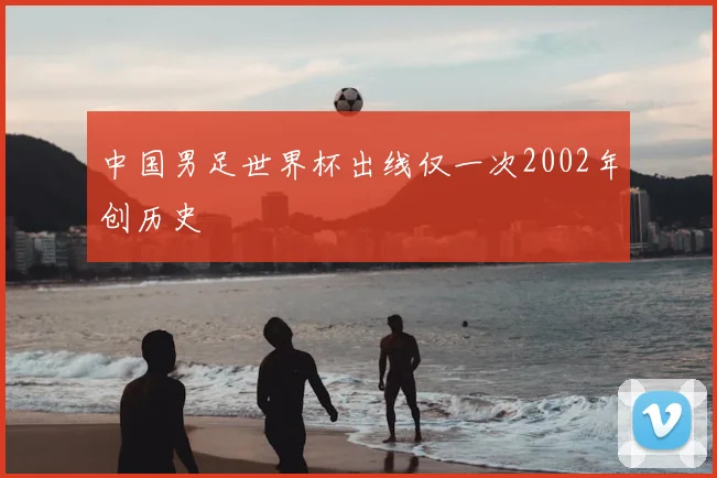 中国男足世界杯出线仅一次2002年创历史