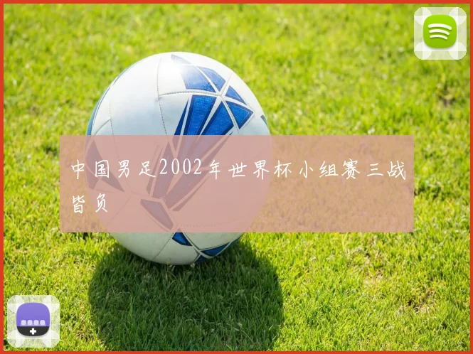 中国男足2002年世界杯小组赛三战皆负