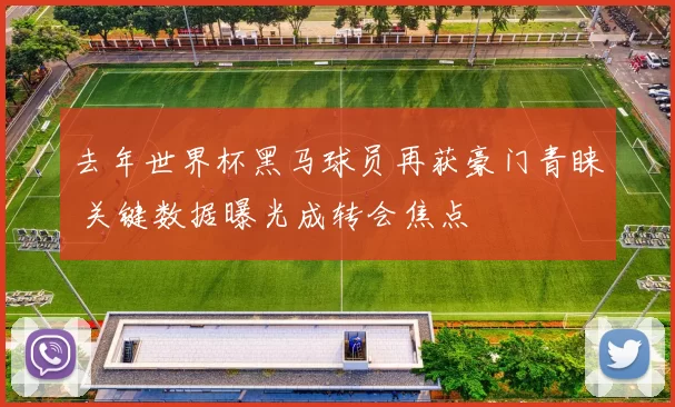 去年世界杯黑马球员再获豪门青睐 关键数据曝光成转会焦点